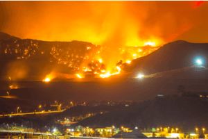 Wildfires, biomass, & tobacco